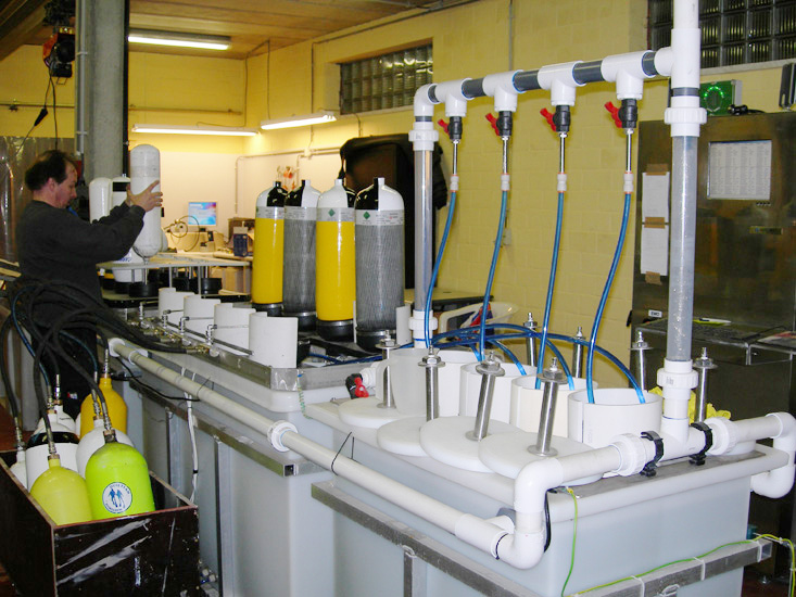 hydraulische keuring bench